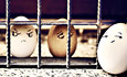 人民日报：人造鸡蛋和谁“有关”