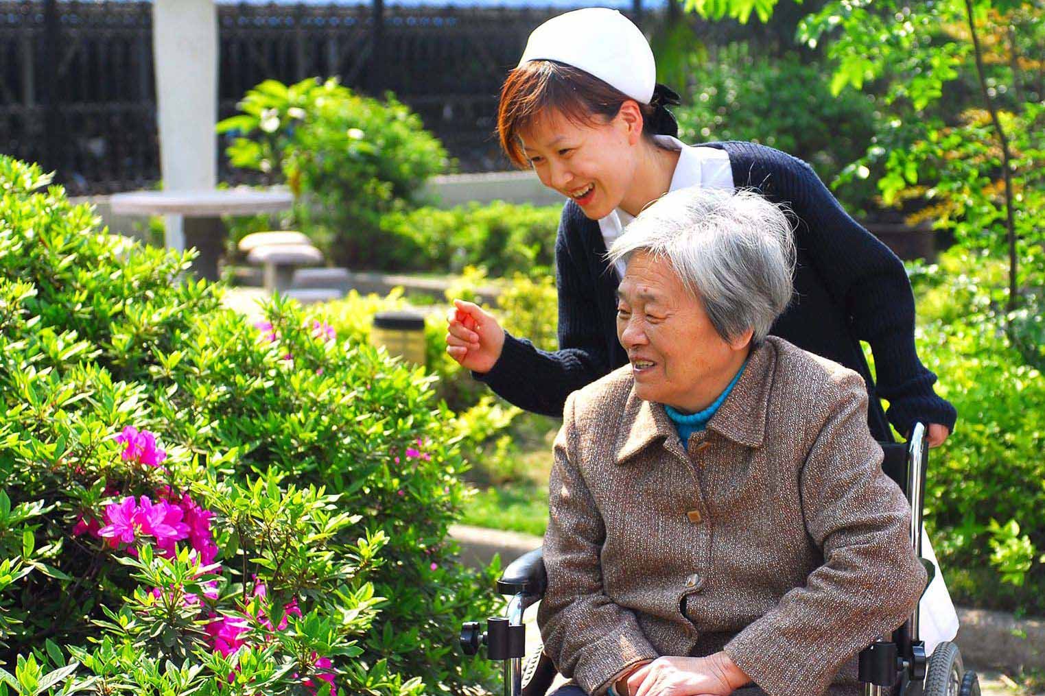 导致老年病的主要原因