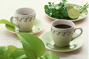 24款药茶 小病不用看医生