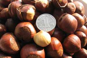 坚果神奇功效 多吃可抗衰老