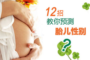 12招 看穿胎儿性别