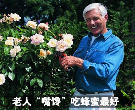老人“嘴馋”吃蜂蜜最好