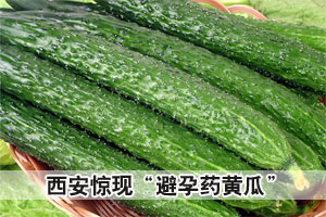 西安黄瓜被抹避孕药 批发商贩：早已不是秘密