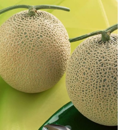 降脂降压 “蘑”出健康