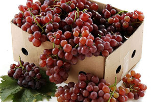 这些食物 你的乳房需要“吃”