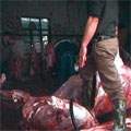 屠宰户当街给母猪肉注水 分解后摆上台面(图)