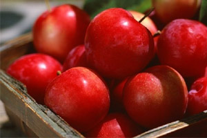 吃苹果嚼“核”容易中毒？