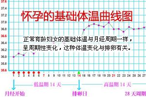 详析各种基础体温曲线图 附图