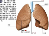 盘点人体最易惹癌上身的11个器官