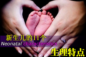 新生儿的11个生理特点