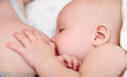 纯母乳也有等级之分