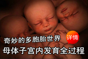 子宫里奇妙的多胞胎世界（组图）