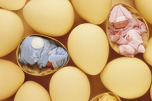 专家释疑 生男生女八大秘密