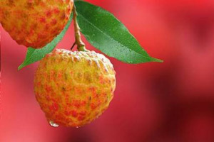 这些水果让男人更“强劲”