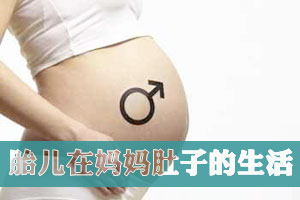 胎儿在妈妈肚子的生活