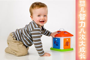 婴儿智力八次大的成长