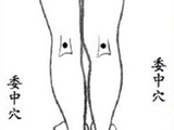 男性养生必看 精力旺盛搓出来