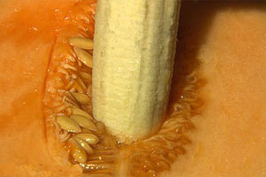 男人美食滋补的“第一名”