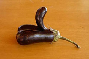 解惑男人 持久勃起不再愁！