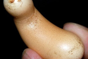 如何正确测量男人阴茎长短？