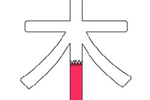 阴茎断掉接上，性能力还在？