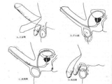 图解性教育 男人射精全过程