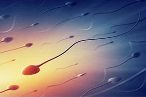 优质精子如何日常养成