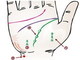 学会看手相防人体十大疾病
