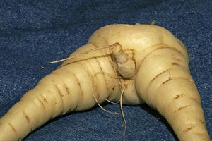 男人 你的“宝贝”够大吗