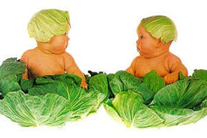 生男生女的搞笑科学发现