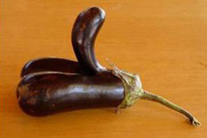 解读：阴茎勃起过程