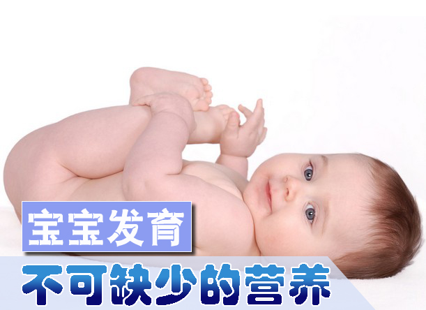 宝宝发育不可缺少的营养