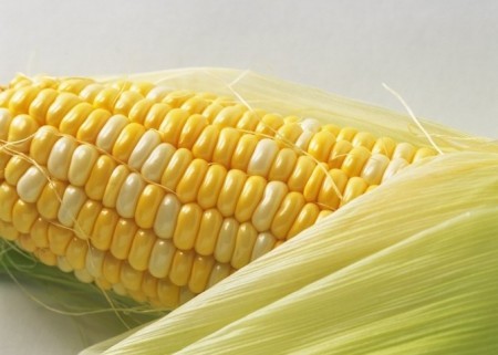 排毒食物和他们的小伙伴们