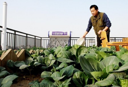 你是“都市开荒族”吗？