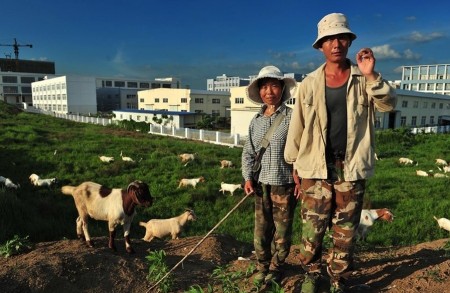 你是“都市开荒族”吗？