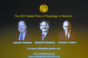 美德科学家分享今年诺贝尔生理学或医学奖