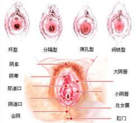 图解处女膜破裂的全过程！