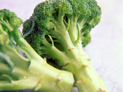 十字花科类蔬菜