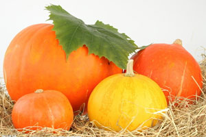 多吃南瓜 男人健康不再难　