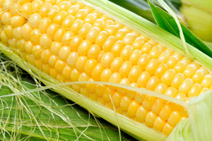 最廉价的高营养保健品--玉米