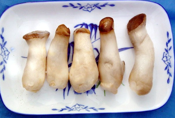 少吃动物性脂肪