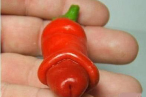 按摩疗法帮男人阴茎更好勃起