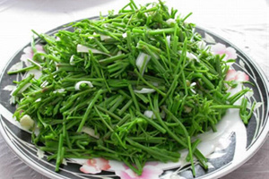 天然山野菜 男人吃吃更健康