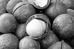 让男人变身猛男的不老补药