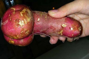 神奇秘技 增强阴茎勃起硬度！