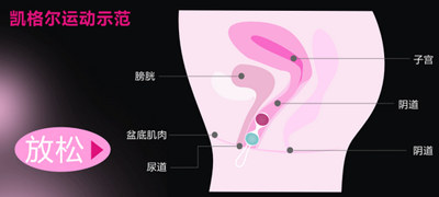 阴道哑铃