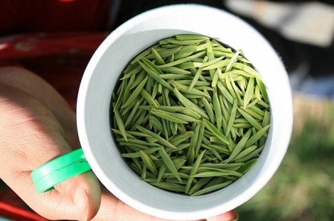 绿茶