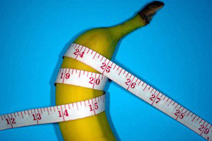 男人阴茎构造决定勃起长度！