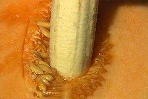 记住七件事 阴茎勃起更有力！