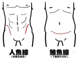 怎样才能练就性感“人鱼线”？